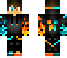 InsomnicZeb Skin