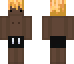 LynxT Skin